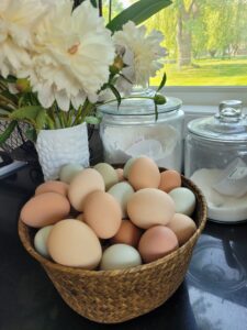 Read more about the article Why Fresh Eggs Are Best